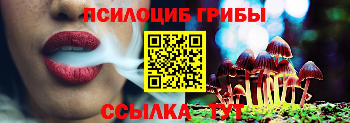 Галлюциногенные грибы прущие грибы  Вход с VPN  Саров 